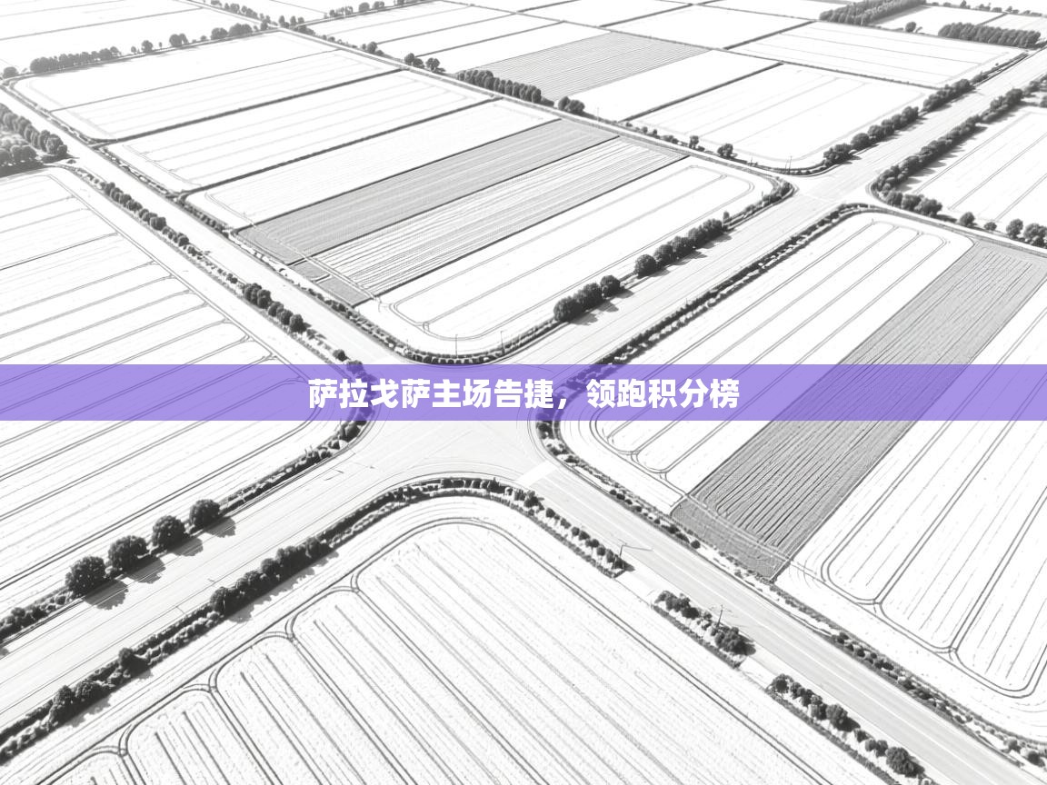 萨拉戈萨主场告捷，领跑积分榜  第2张